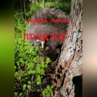 Андрей Ланиус. Птицелов