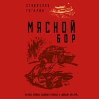 . Мясной Бор