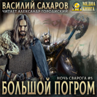 . Большой погром