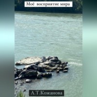 . Моё восприятие мира