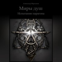 Александр Мартынов. Миры душ. Испытание парагона