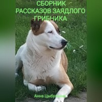 . Сборник рассказов заядлого грибника