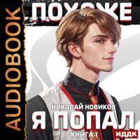 . Похоже, я попал. Книга 1