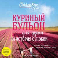. Куриный бульон для души. 101 история о любви