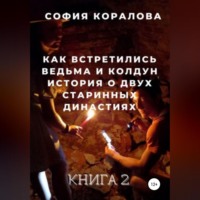 . Как встретились ведьма и колдун. Книга 2