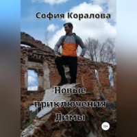 . Новые приключения Димы