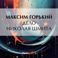 . Дело Николая Шмита