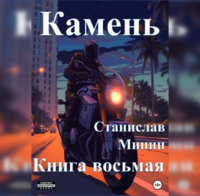 Станислав Николаевич Минин. Камень. Книга восьмая