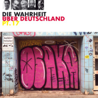 Various Artists. Die Wahrheit ?ber Deutschland, Part 17 (Live)