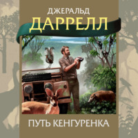 . Путь кенгуренка