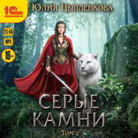 . Серые камни. Том 2