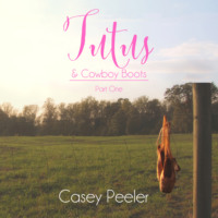 . Tutus & Cowboy Boots Series, Book 1: A Small Town Dance Romance