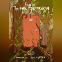 . Первый практикум. Напиток бессмертия