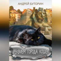 . Реквием города кошек