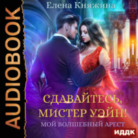 . Сдавайтесь, мистер Уэйн! или Мой волшебный арест