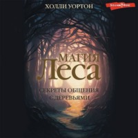 . Магия леса. Секреты общения с деревьями