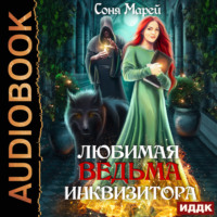 . Любимая ведьма инквизитора