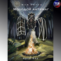 Арчи Вар. Меж миров. Молодой антимаг