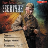 . Зенитчик: Зенитчик. Гвардии зенитчик. Возвращенец