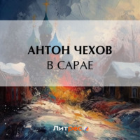 . В сарае