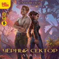 . Черный сектор. Лука