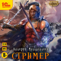 Валерий Владимирович Муллагалеев. Стример