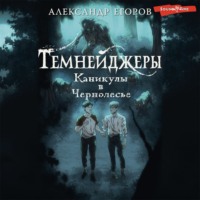 . Темнейджеры. Каникулы в Чернолесье