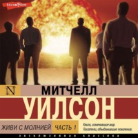 . Живи с молнией. Книга 1. Лаборатория