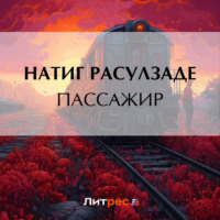 . Пассажир