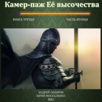 Андрей Сидоров. Камер-паж ее высочества. Книга 3. Часть 2