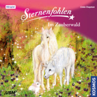 Linda  Chapman. Sternenfohlen, Teil 13: Im Zauberwald
