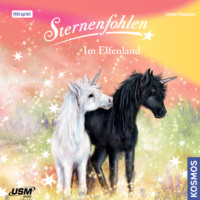 Linda Chapmann. Sternenfohlen, Teil 17: Im Elfenland