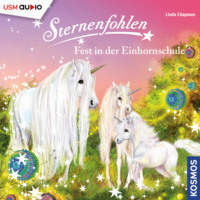 . Sternenfohlen, Teil 25: Fest in der Einhornschule