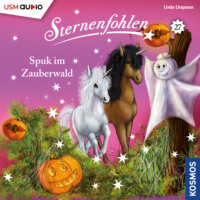 . Sternenfohlen, Teil 27: Spuk im Zauberwald
