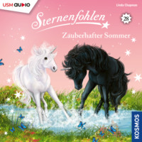 . Sternenfohlen, Teil 28: Zauberhafter Sommer