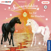 . Sternenfohlen, Teil 30: Im Tal der Drachen