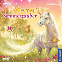 Linda  Chapman. Sternenschweif, Teil 18: Sommerzauber