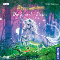 . Sternenschweif, Teil 45: Spur der Sterne