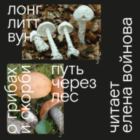 . Путь через лес. О грибах и скорби