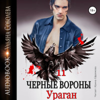 . Чёрные вороны 11. Ураган