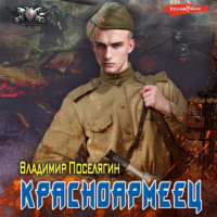 Владимир Поселягин. Красноармеец