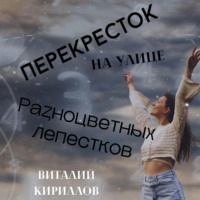 Виталий Александрович Кириллов. Перекрёсток на улице Разноцветных лепестков