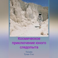 Татьяна Николаевна Тучак-Тэсс. Большое приключение маленького мальчика