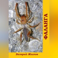 Валерий Жиглов. Фаланга