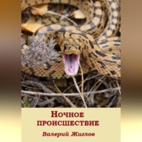 . Ночное происшествие