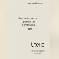 Алексей Николаевич Мельков. Стена