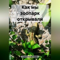 . Как мы зоопарк открывали