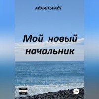 . Мой новый начальник