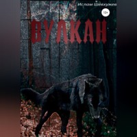 Ислам Рахмедович Шевхужев. Вулкан