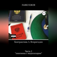 . Контрактник А. Непригодин. Часть 2